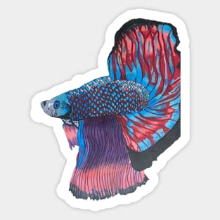 Swimming beta fish Sticker